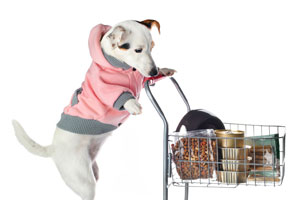 Pet Shops & Vet Shops