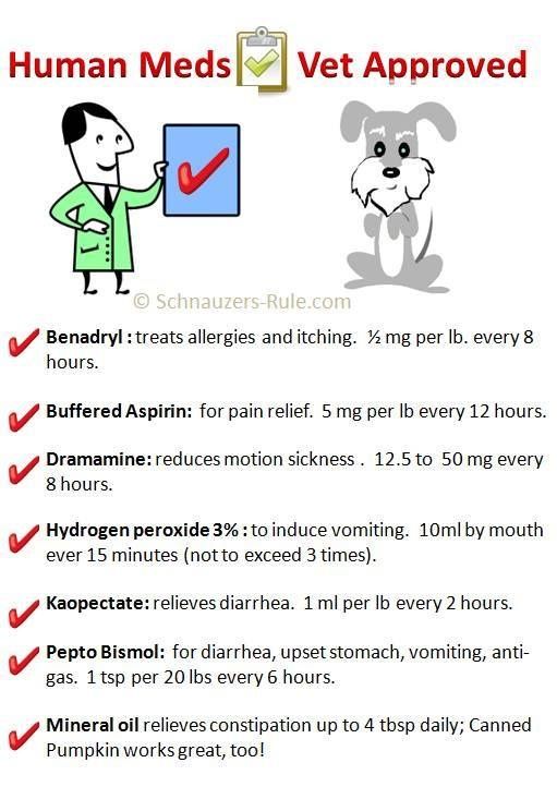 Human medicines that is good for pets